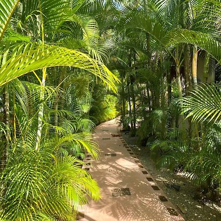 Chalet Tropical Au Coeur De Las Terrenas Dış mekan fotoğraf