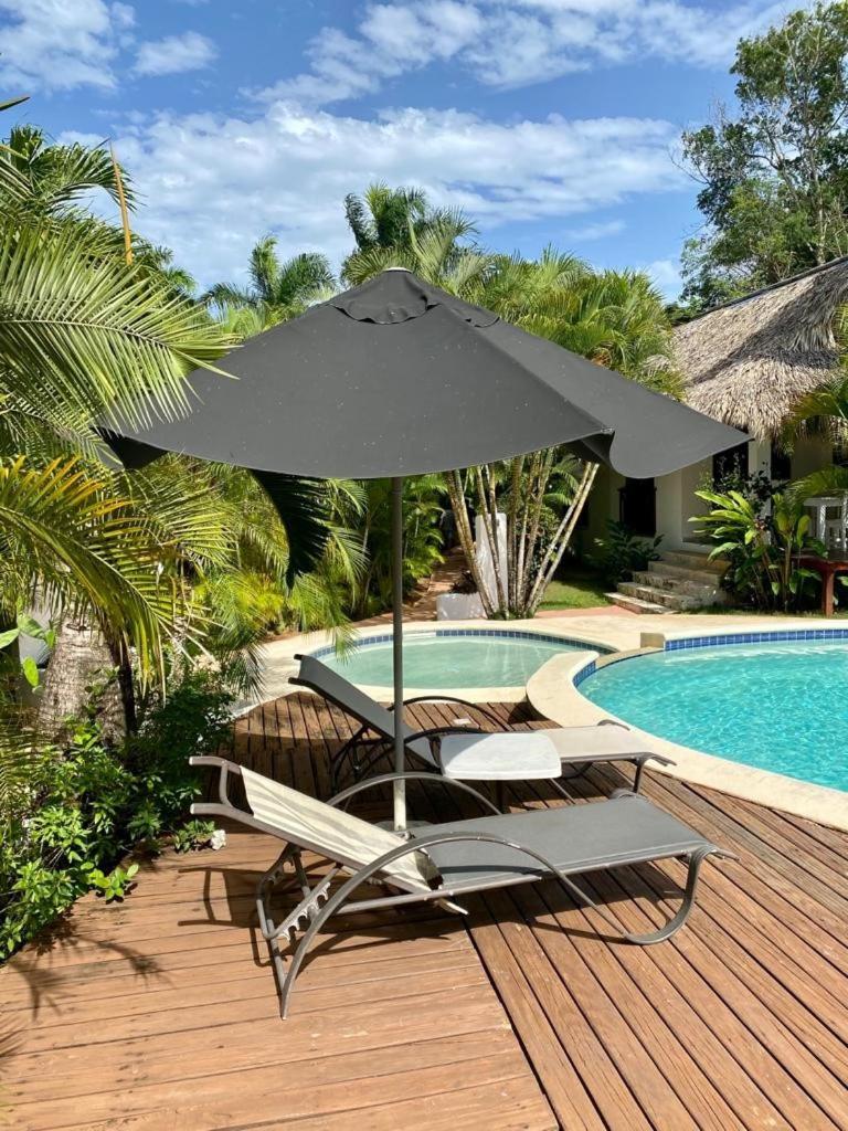 Chalet Tropical Au Coeur De Las Terrenas Dış mekan fotoğraf