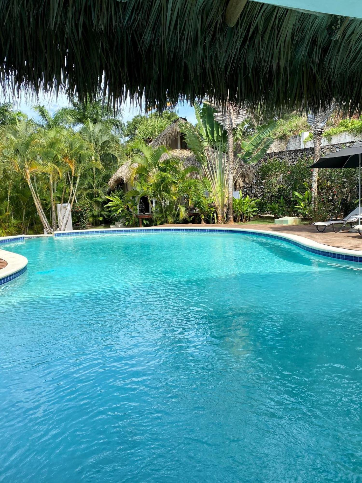Chalet Tropical Au Coeur De Las Terrenas Dış mekan fotoğraf